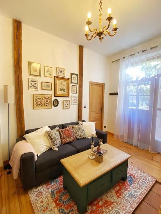 Cocon Cosy Dans La Ville Rose Тулуза Экстерьер фото
