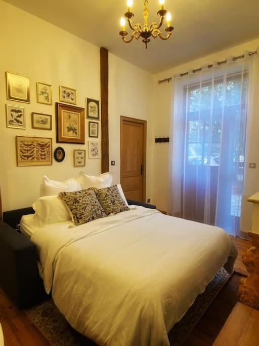 Cocon Cosy Dans La Ville Rose Тулуза Экстерьер фото