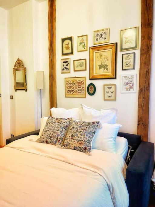 Cocon Cosy Dans La Ville Rose Тулуза Экстерьер фото